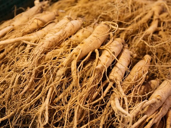 Korean Red Ginseng